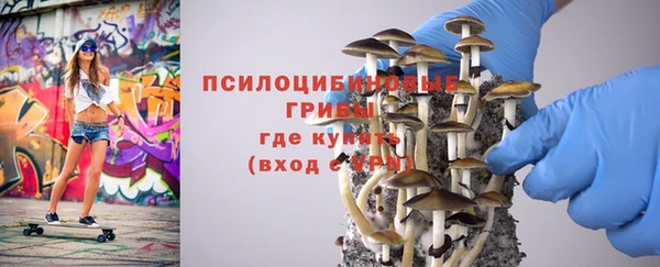 круглые Алексеевка