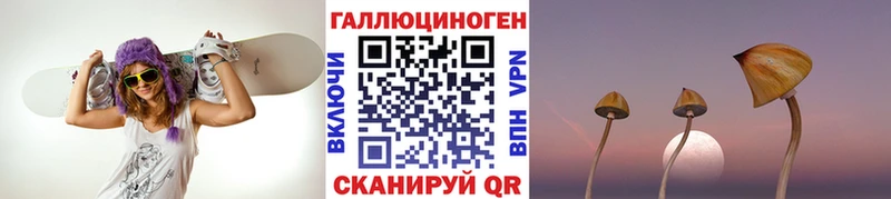 Галлюциногенные грибы Psilocybine cubensis гидра Шатура